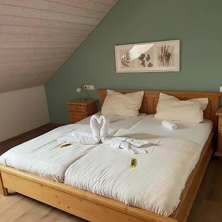 Hotel Janser *