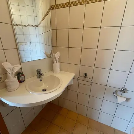 Отель Janser Altenstadt (Upper Bavaria)