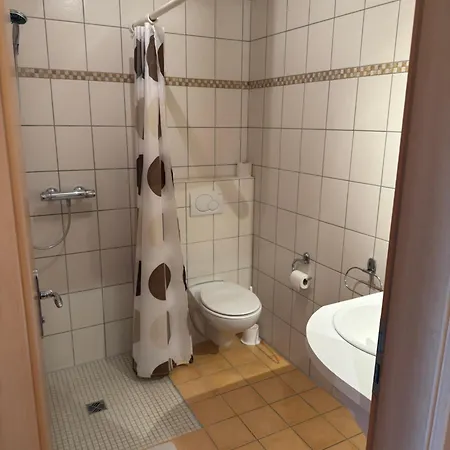 Отель Janser *